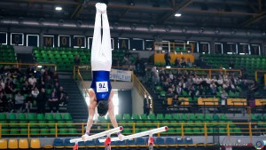 serie b 0547 simone ferraro ph